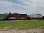 IBT 300281